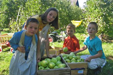 Kinder helfen bei der Apfelernte