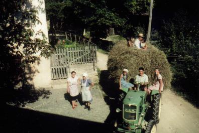 Hay harvest at the Rimmele Hof