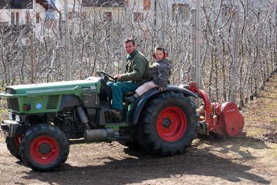 Mulch in the orchards