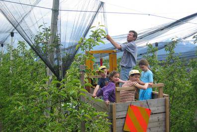 Checking the hail nets… The little ones are helping too