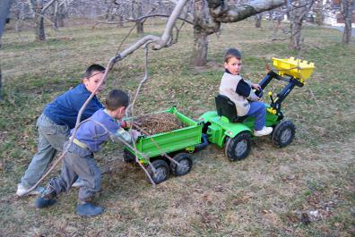 Driving the tractor