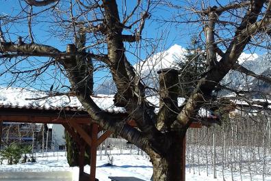 Winter at the Rimmele-Hof
