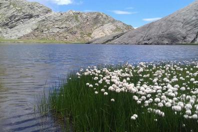 Spronser lakes