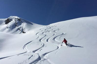 Downhill on the pow