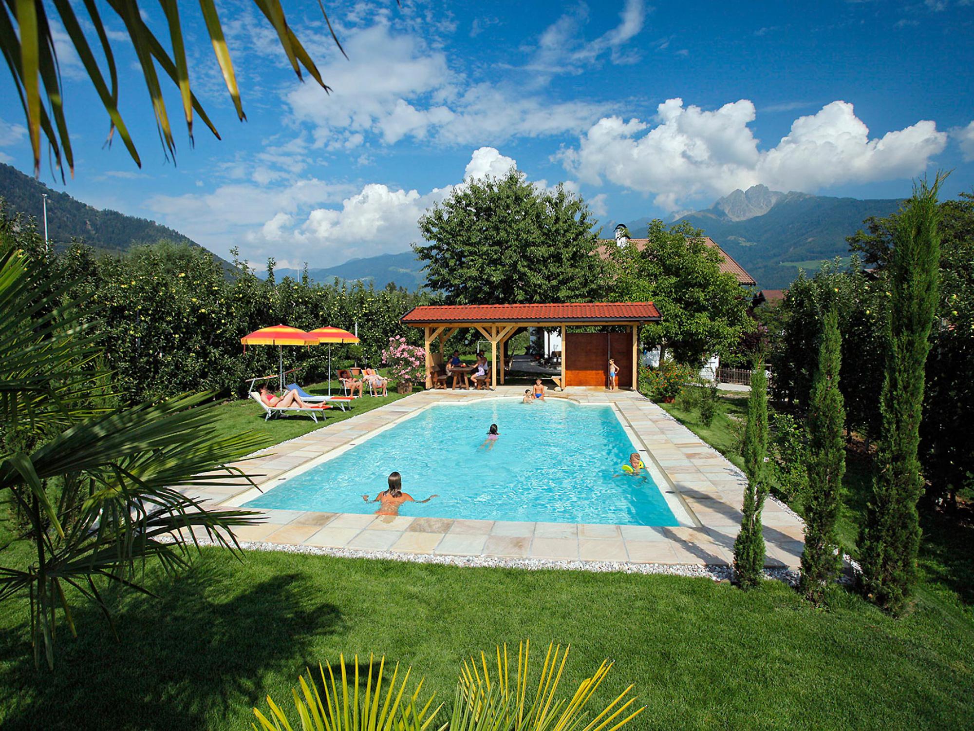 Garden with swimming pool and sunbathing lawn