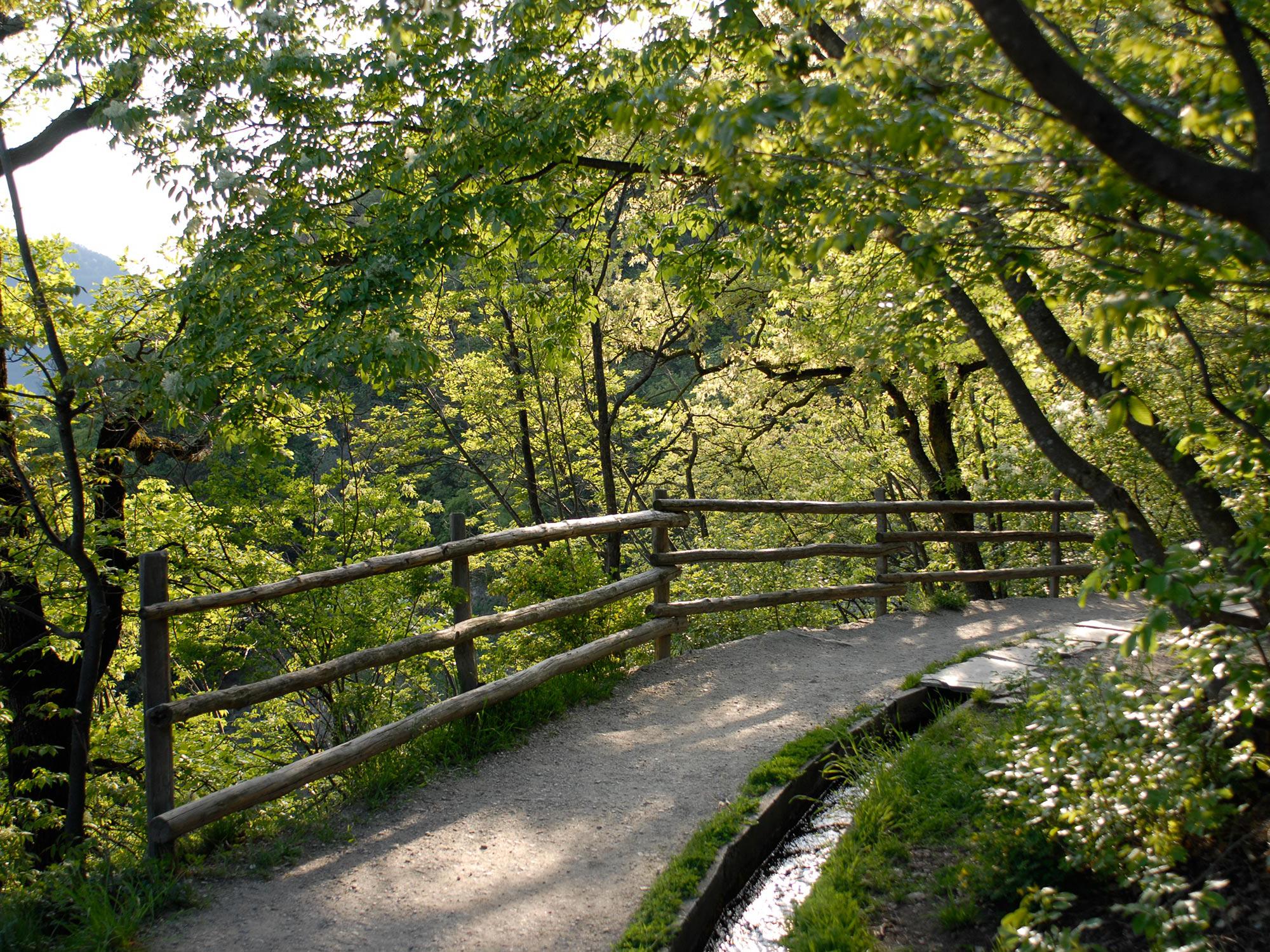 Irrigation stream